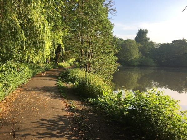 Elmdon Park | Solihull