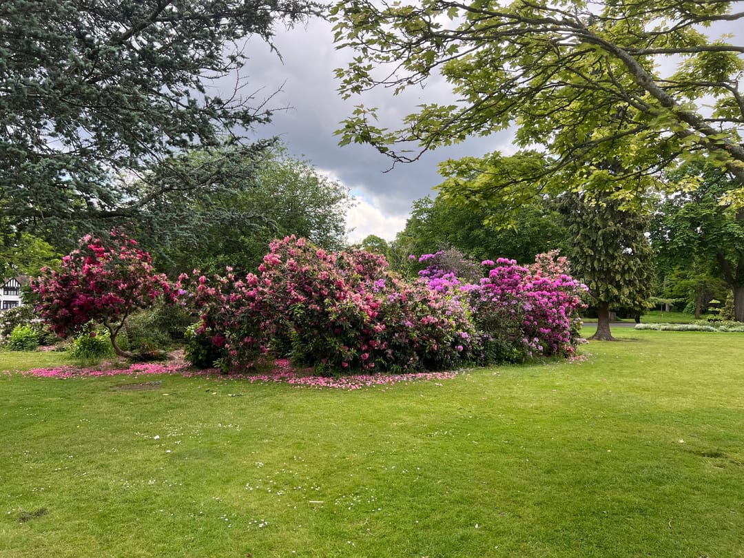 Cannon Hill Park - image 3