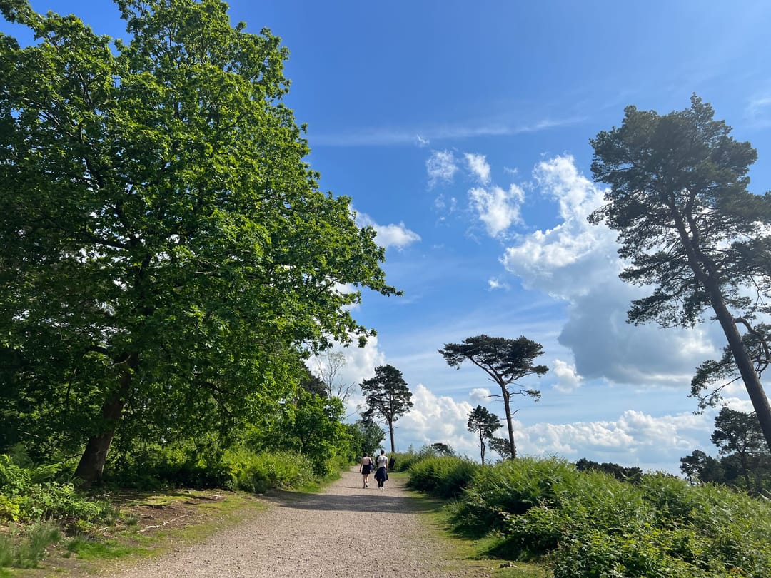 Lickey Hills - image 2