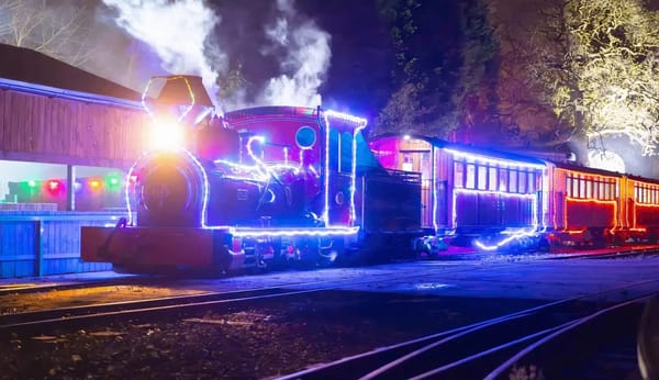 Christmas at Statfold Country Park | Tamworth