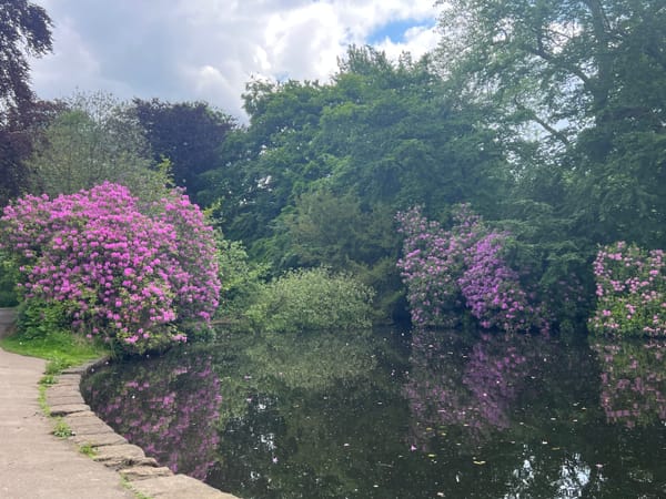 Highbury Park