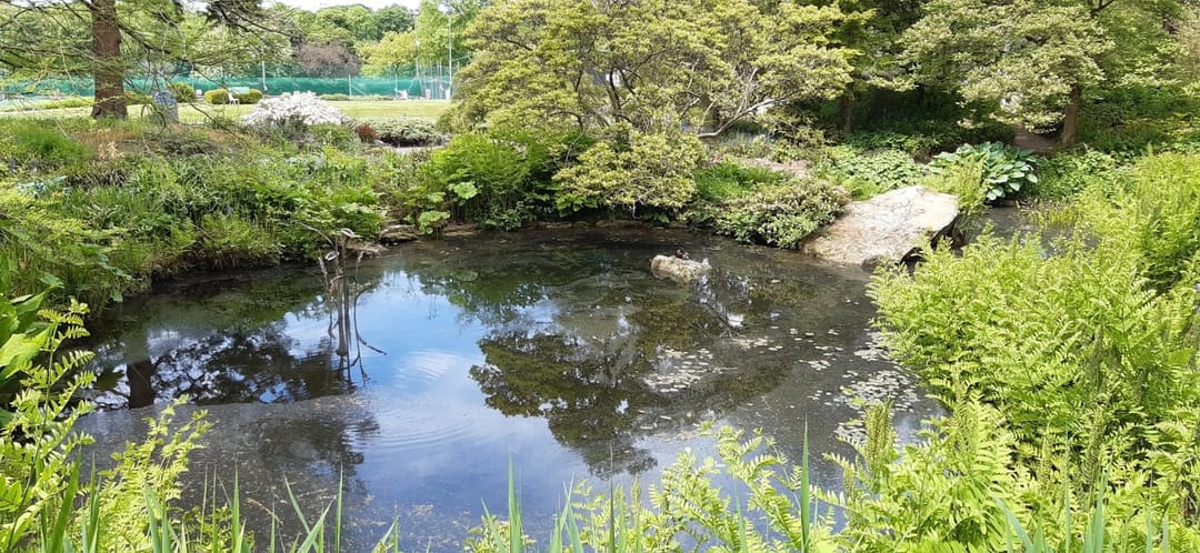 Birmingham Botanical Gardens - image 2