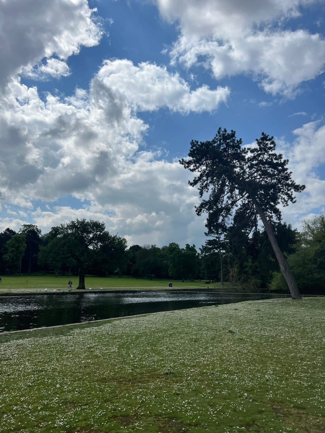 Cannon Hill Park - image 4