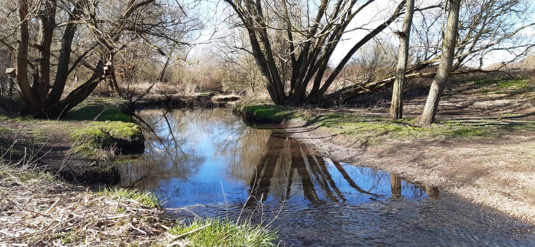 Babbs Mill Lake | Solihull - image 2
