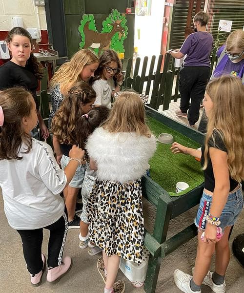 PLAY@ Lower Drayton Farm - image 2