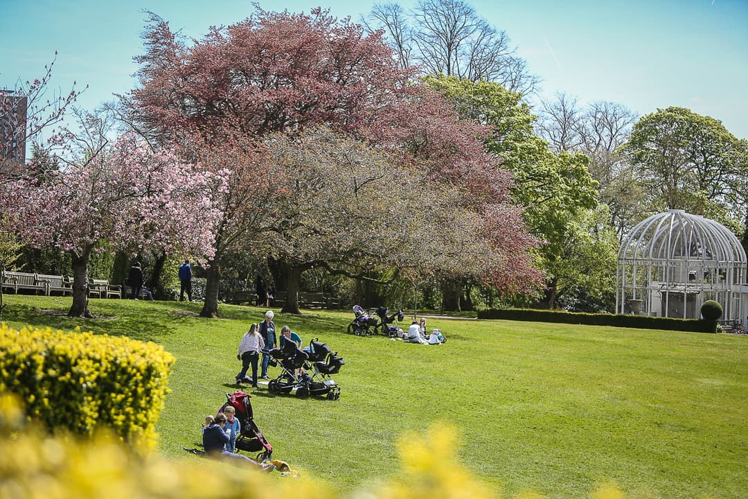 Birmingham Botanical Gardens - image 1