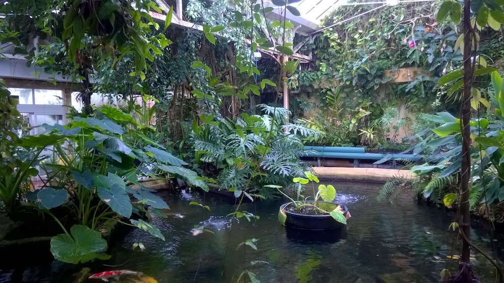 Birmingham Botanical Gardens - image 2