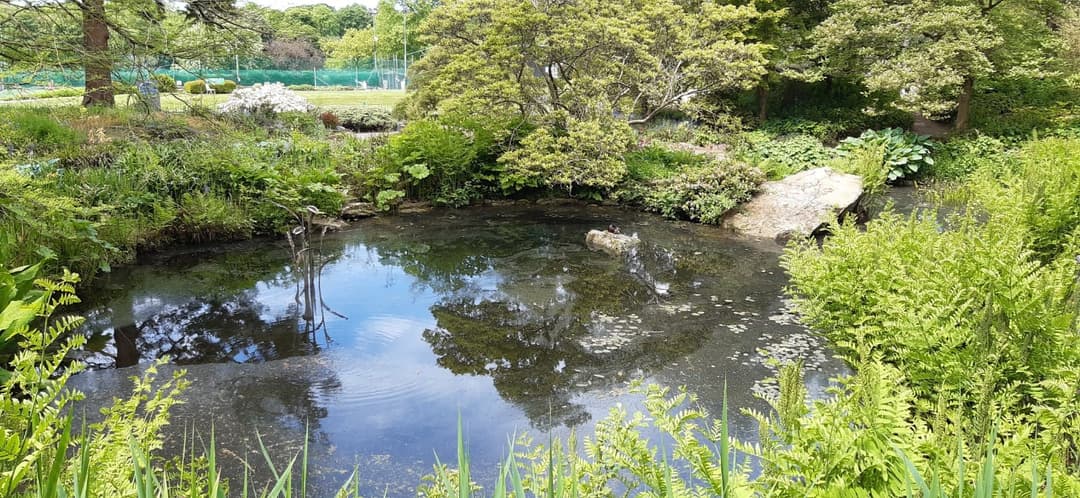 Birmingham Botanical Gardens - image 2