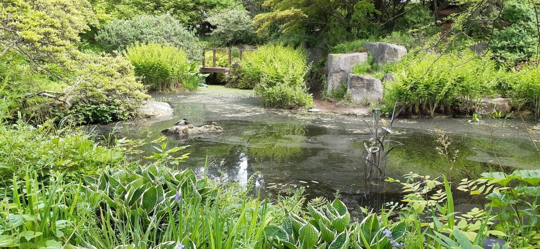 Birmingham Botanical Gardens - image 3