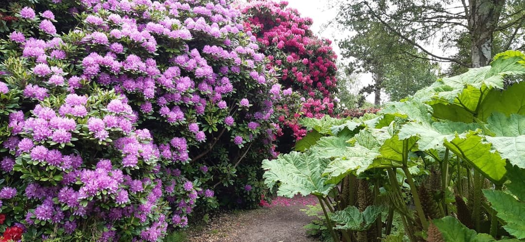 Birmingham Botanical Gardens - image 4