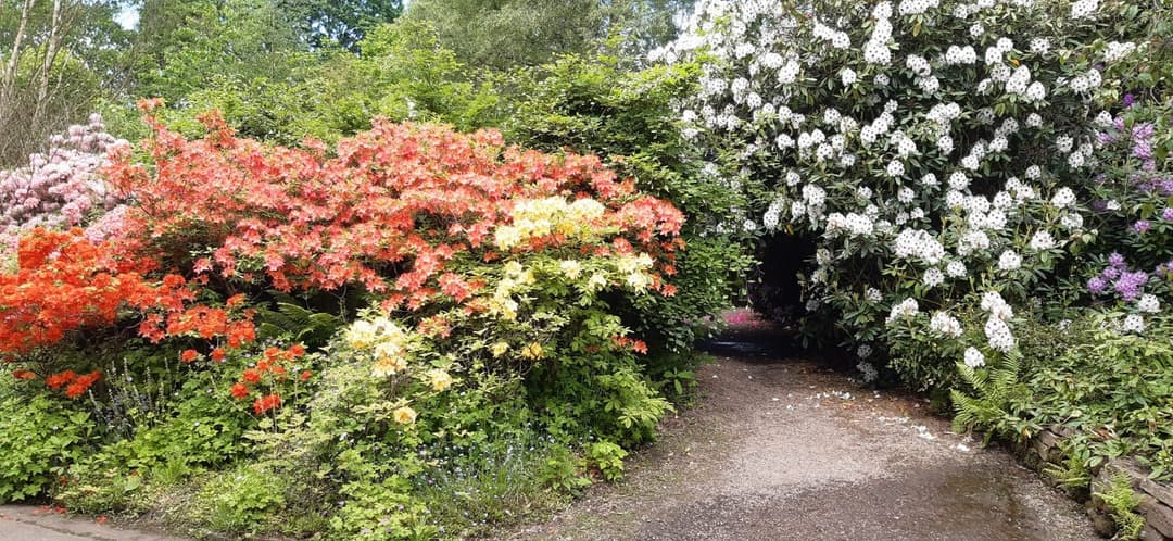 Birmingham Botanical Gardens - image 4