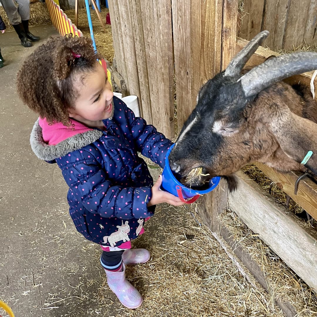 Ash End House Children's Farm | Tamworth - image 2
