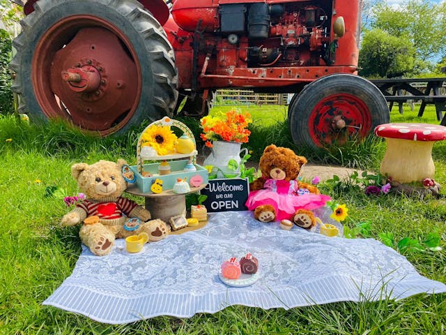 Teddy Bears Tea Party | Lower Drayton Farm