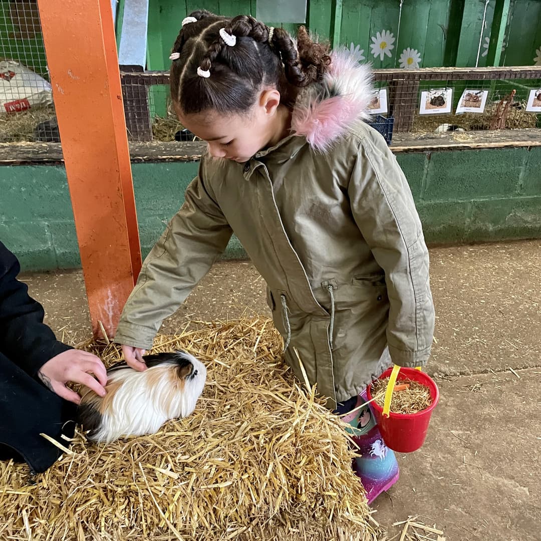 Ash End House Children's Farm | Farm Parties - image 3