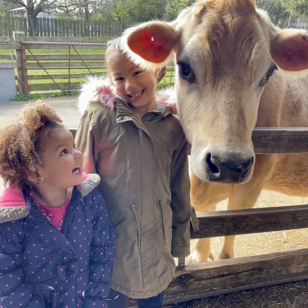 Ash End House Children's Farm | Farm Parties - image 3