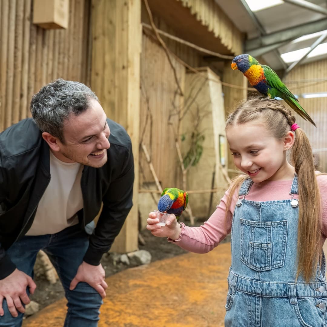 West Midlands Safari Park | Summer Savings & K-Pop Fun - image 1