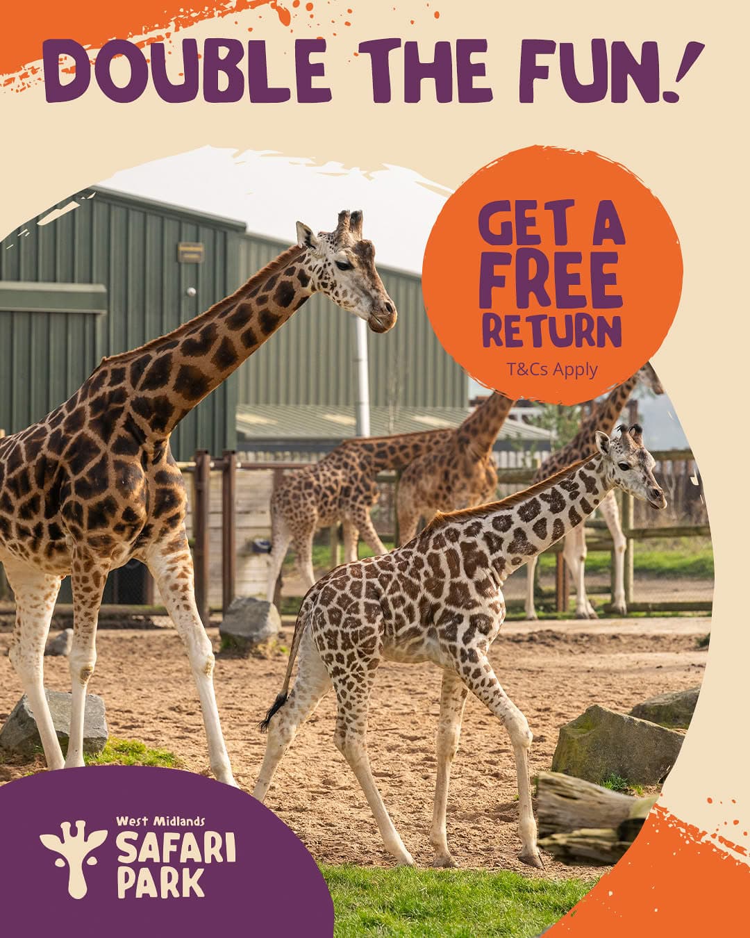 West Midlands Safari Park | K-Pop Summer - image 2