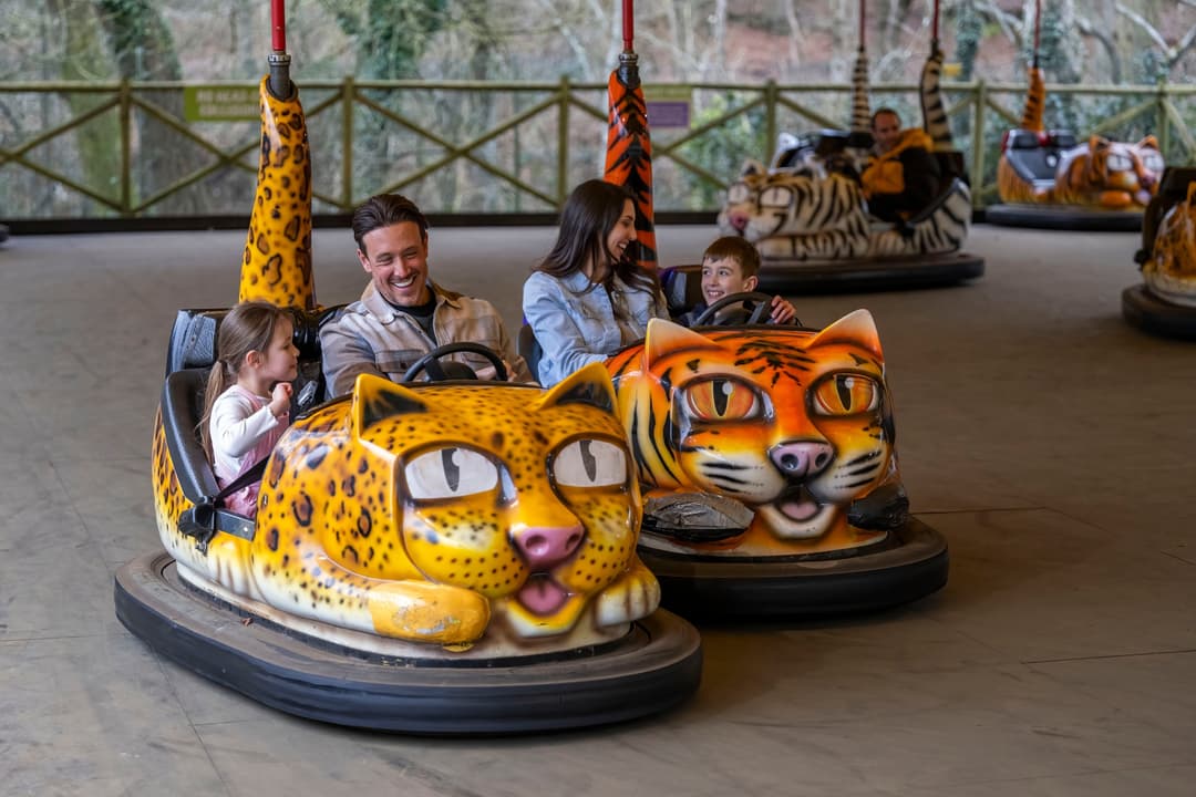West Midlands Safari Park | Easter Extravaganza - image 6