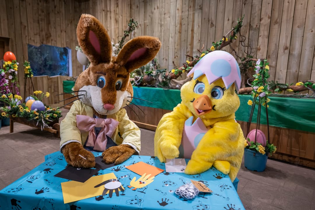 West Midlands Safari Park | Easter Extravaganza - image 2