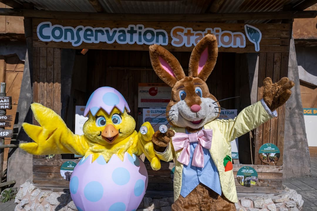 West Midlands Safari Park | Easter Extravaganza - image 5