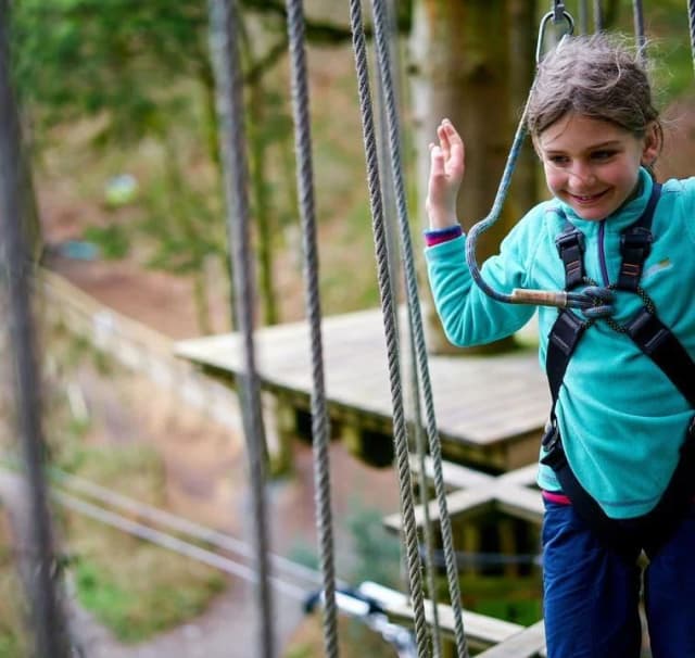Go Ape Cannock