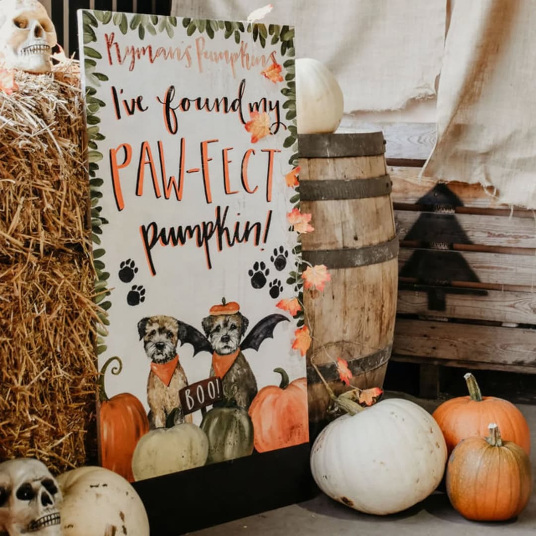 Rymans Pumpkins | Lichfield - image 1