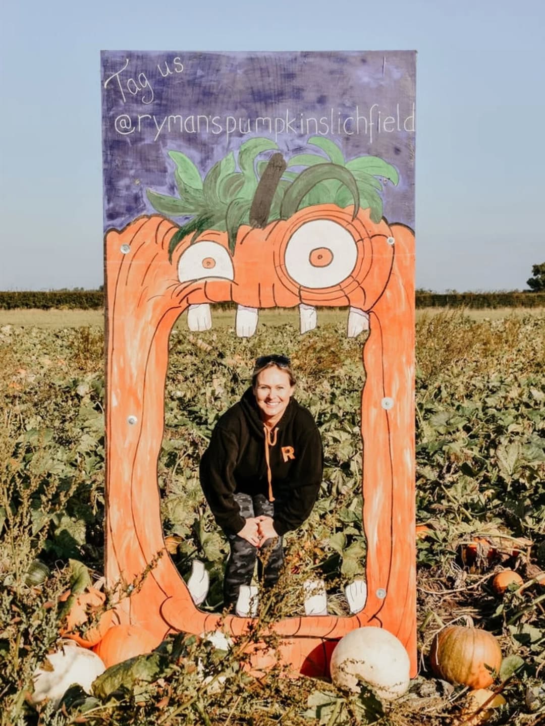 Rymans Pumpkins | Lichfield - image 2