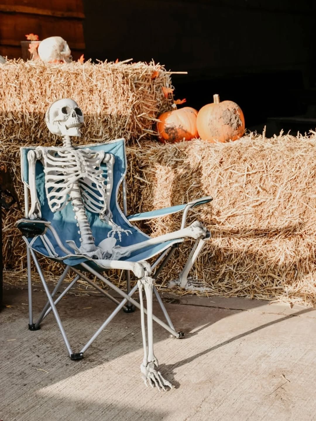 Rymans Pumpkins | Lichfield - image 3