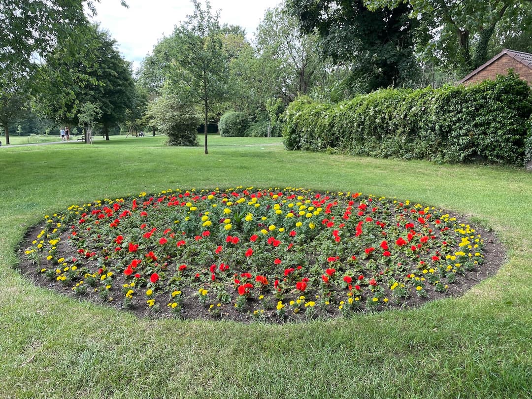 Knowle Park | Knowle - image 3