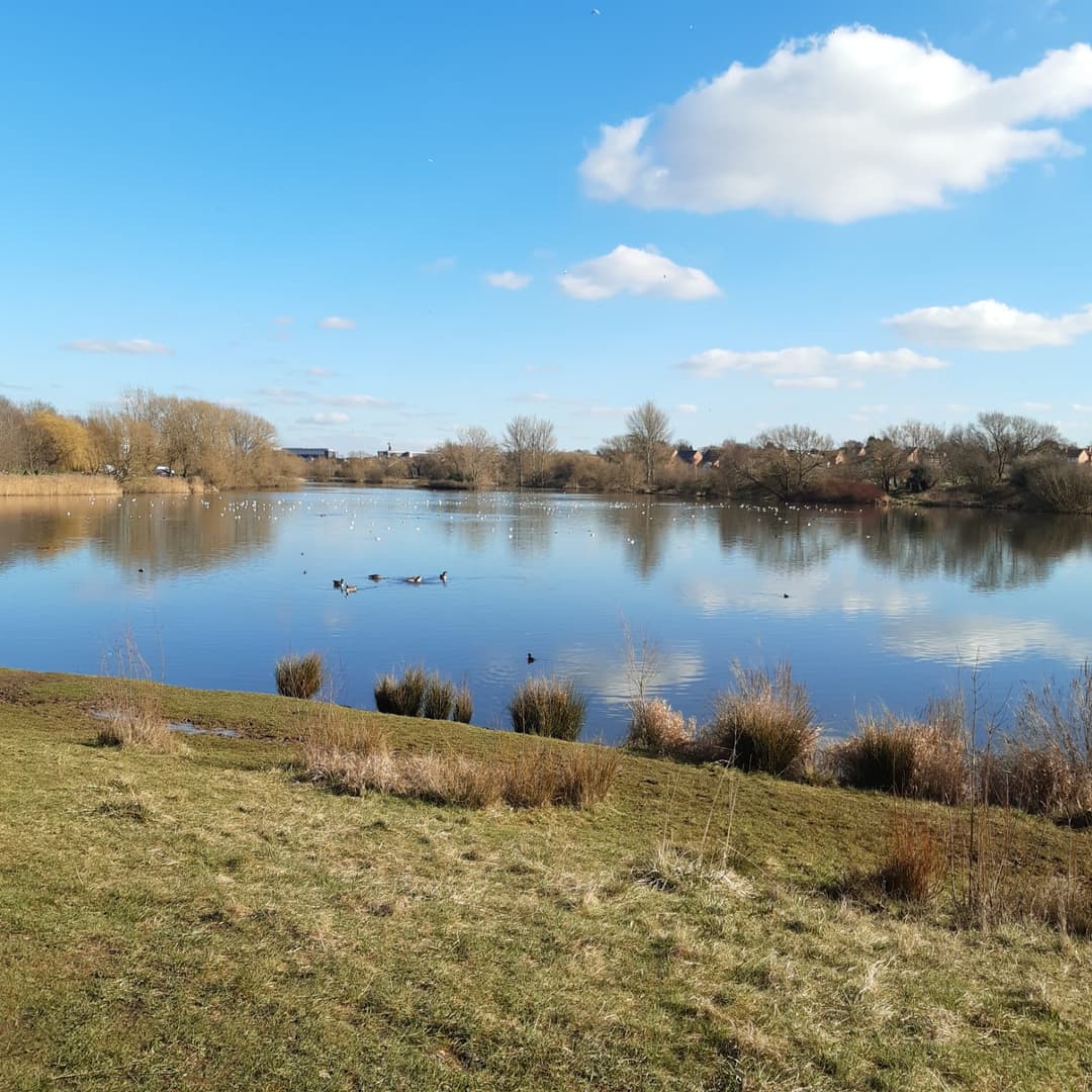 Babbs Mill Lake | Solihull - image 1