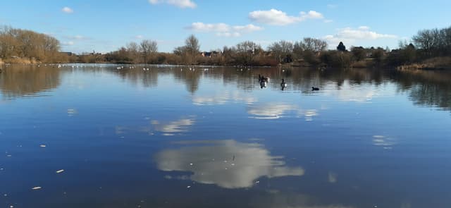 Babbs Mill Lake | Solihull