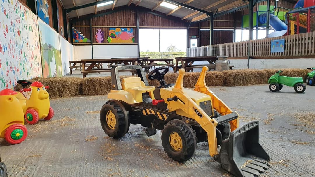 Animal Antics | Lower Drayton Farm - image 1