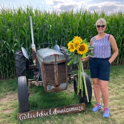 Lichfield Maize Maze, Sunflowers & Wildflowers - image 2