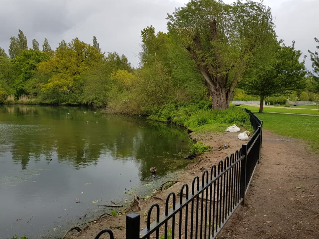 Tudor Grange Park | Solihull - image 1