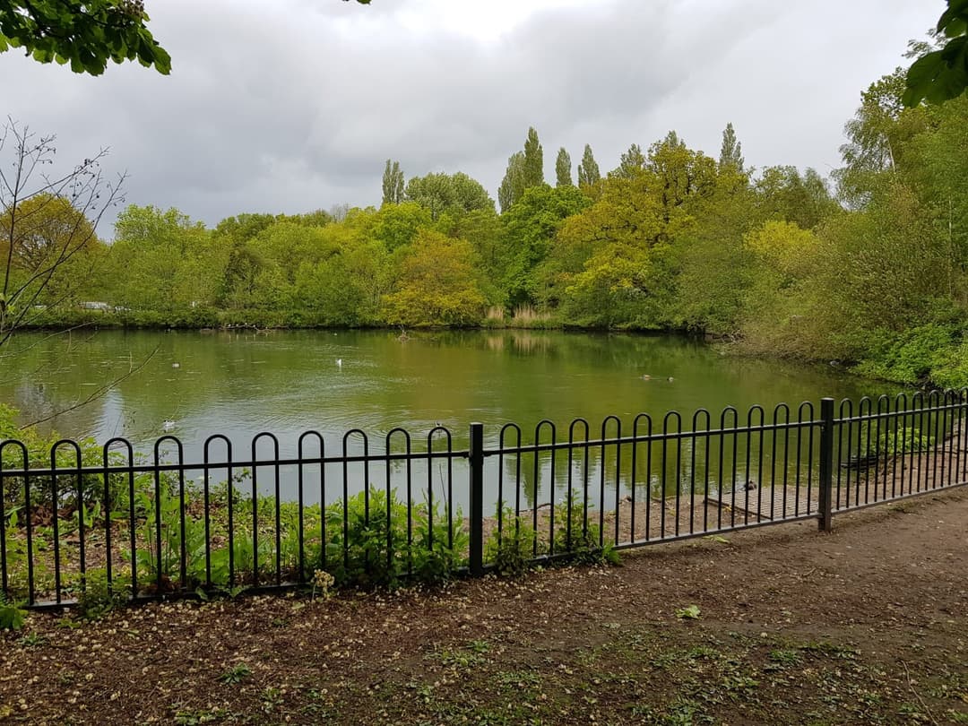 Tudor Grange Park | Solihull - image 3