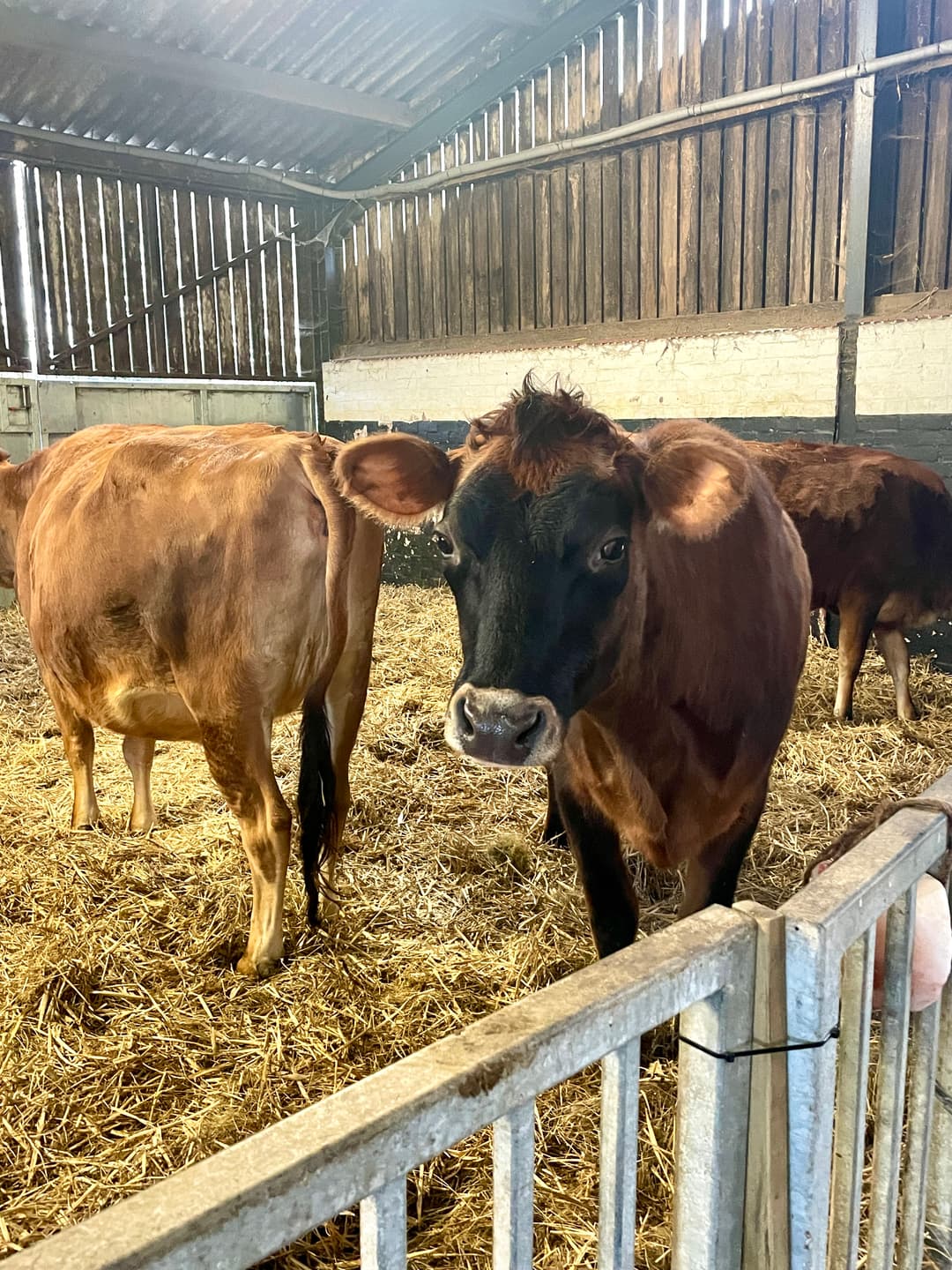 Sheldon Country Park | Sheldon - image 1