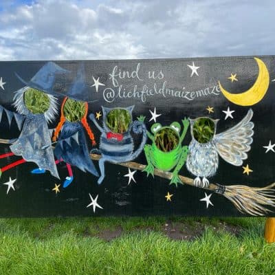 Spooky Maize Maze & Pumpkins | Lichfield - image 3