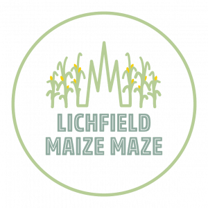 Spooky Maize Maze & Pumpkins | Lichfield - image 4